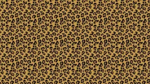 Unleash Your Wild Side Wallpaper