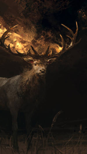 Unlock Nature's Wonders With The Deer Iphone Wallpaper