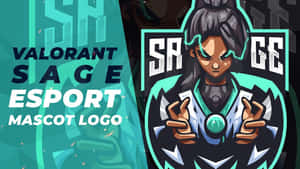 Unlock The Power Of Sage With This Valorant Sage Wallpaper. Wallpaper
