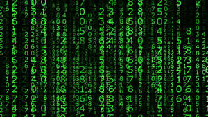 Unlock The Secrets Of The Matrix Wallpaper