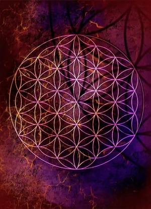 Unlock The Secrets To The Mysterious Flower Of Life. Wallpaper