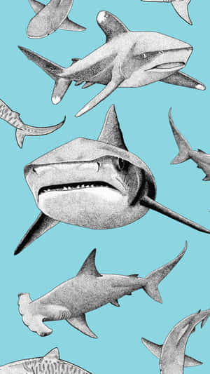 Unlock Your Phone With The Powerful Shark Iphone Wallpaper