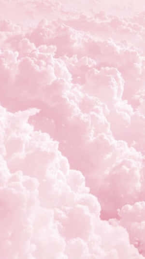 Up In The Clouds Wallpaper