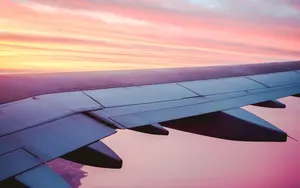 Up In The Sky, The Pink Plane Soars Wallpaper