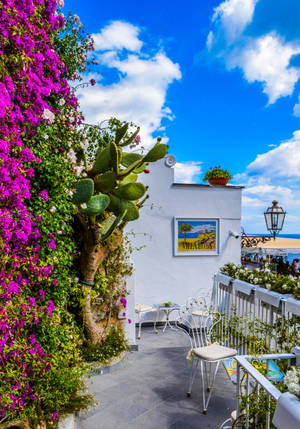 Urban Balcony Garden On A Bright Day Wallpaper