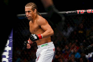 Urijah Faber In The Ring Wallpaper