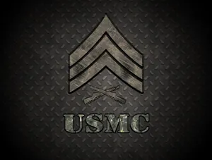 Us Marine Proudly Stands Guard Wallpaper