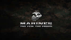 Us Navy Warrior Pride Wallpaper