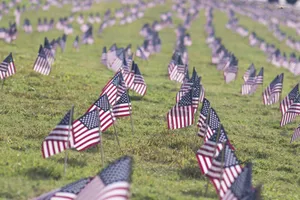 Usa Veterans Day Flags Wallpaper