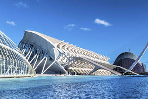 Valencia Palau De Les Arts Wallpaper