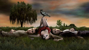 Vampire Diaries Trio And Black Crow Wallpaper