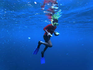 Vanuatu Ocean Diver Wallpaper