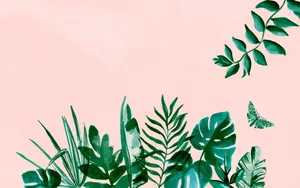 Varieties Of Leaves Aesthetic Mac Wallpaper