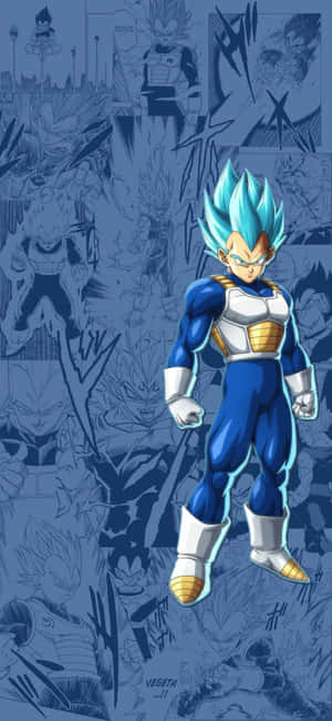 Vegeta Super Saiyan Blue Wallpaper