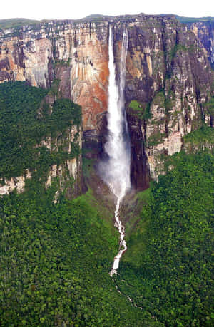 Vegetation Around Angel Falls Wallpaper
