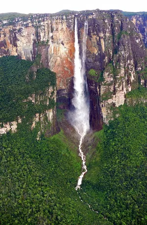 Vegetation Around Angel Falls Wallpaper