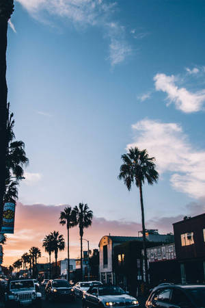 Venice Beach Cars On Street Wallpaper