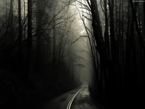 Venture Forth Into The Depths Of The Gothic Forest Wallpaper