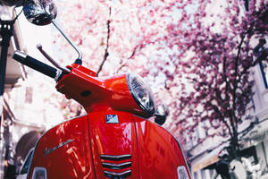 Vespa Motorbike Retro Aesthetic Wallpaper