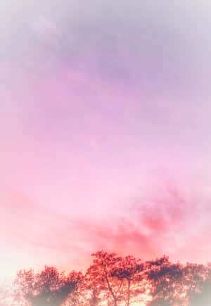 Vibrant Aesthetic Colors Wallpaper