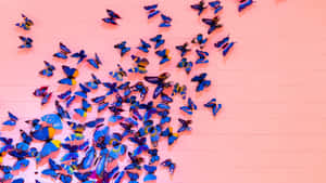 Vibrant Butterfly Wall Art Wallpaper