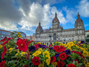 Vibrant Colors Corunna Wallpaper