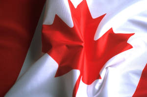 Vibrant Maple Leaf - Emblem Of Canada Wallpaper