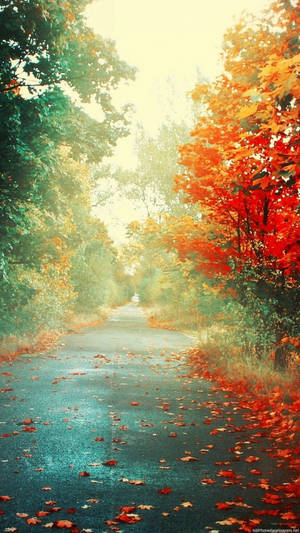 Vibrant Palette Of Nature Wallpaper