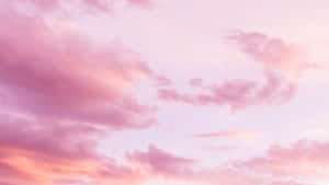 Vibrant Pink Gradient Wallpaper Wallpaper