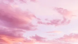 Vibrant Pink Gradient Wallpaper Wallpaper