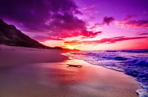 Vibrant Pink Sunset Wallpaper