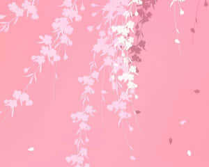 Vibrant Plain Pink Desktop Wallpaper