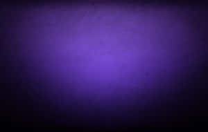 Vibrant Purple Texture Wallpaper
