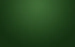 Vibrant & Rich Solid Green Wallpaper