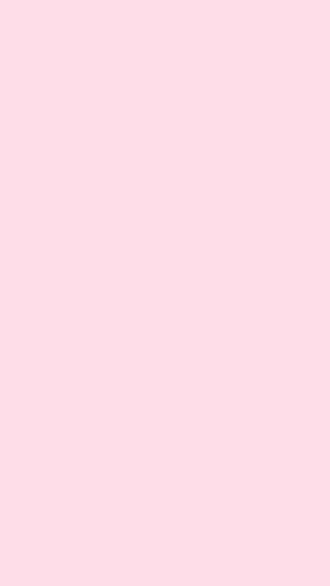 Vibrant Solid Pink Wallpaper Wallpaper