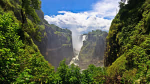 Victoria Falls Valley And Jungle Wallpaper