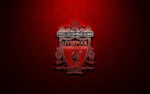 Vignette-style Of Liverpool 4k Logo Image Wallpaper