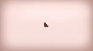 Vignette Style Rose Gold Apple Wallpaper