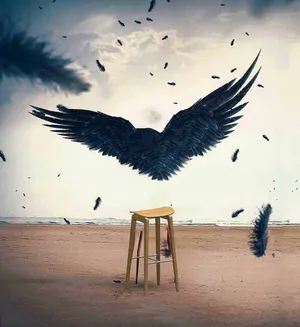 Vijay Mahar Black Wings And Feathers Wallpaper