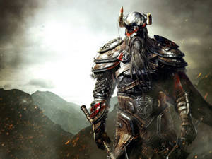 Viking Warrior From The Elder Scrolls Wallpaper