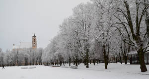 Vilnius At Winter Wallpaper