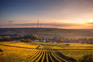 Vineyard Farm Alongside A Village With Wind Vanes Wallpaper