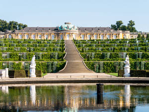 Vineyard Terraces Sanssouci Palace Potsdam Wallpaper