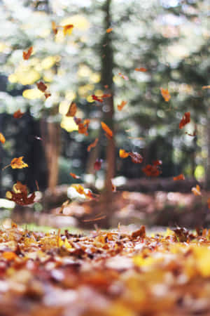 Vintage Autumn Falling Leaves Wallpaper