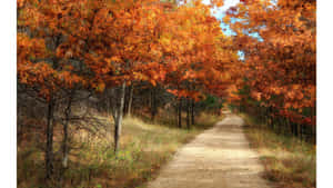 Vintage Autumn Realistic Painting Wallpaper