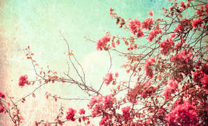 Vintage Cherry Blossom Floral Desktop Wallpaper
