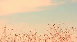 Vintage Clouds And Meadow Field Pinterest Aesthetic Wallpaper