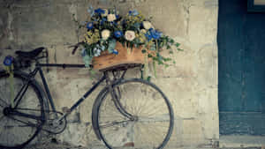Vintage Desktop Basket Bike Wallpaper