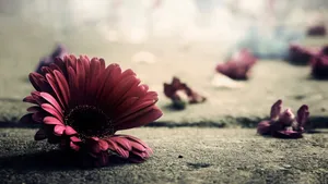 Vintage Flower On The Ground Wallpaper