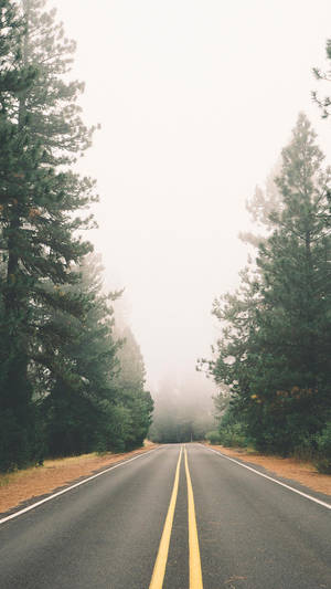 Vintage Iphone Nature Trees And Empty Road Wallpaper